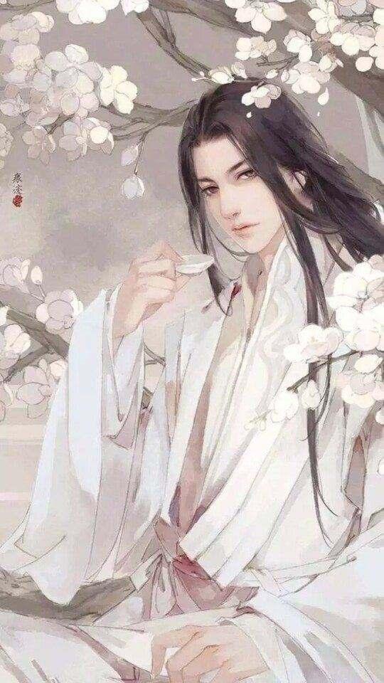 向离沈辞年小说